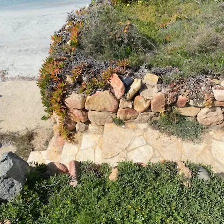 Sul Mare Sardegna Floriana